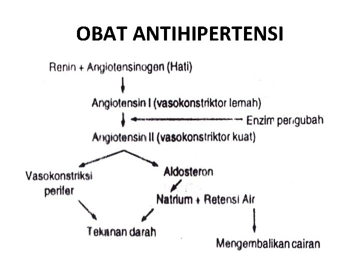 OBAT ANTIHIPERTENSI 