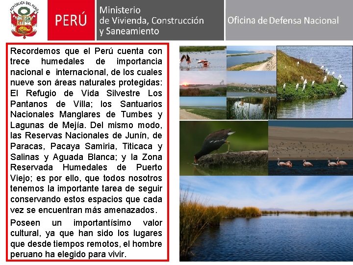 Recordemos que el Perú cuenta con trece humedales de importancia nacional e internacional, de