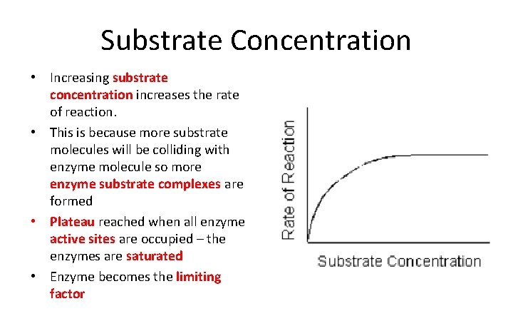 Substrate Concentration • Increasing substrate concentration increases the rate of reaction. • This is