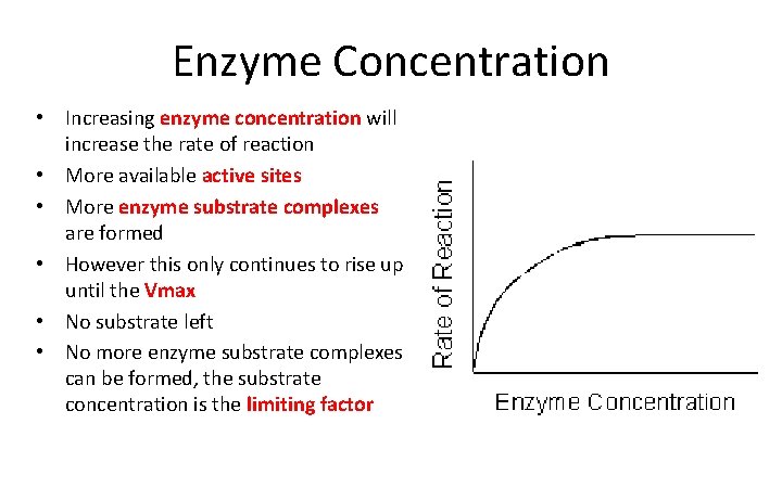 Enzyme Concentration • Increasing enzyme concentration will increase the rate of reaction • More