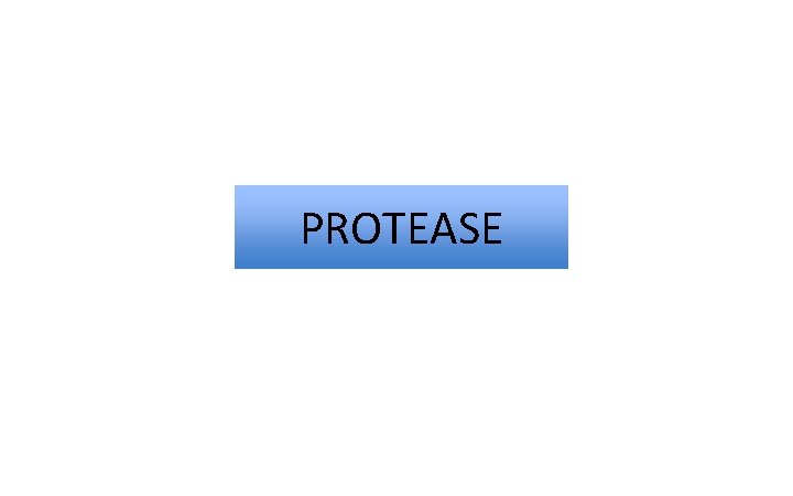 PROTEASE 