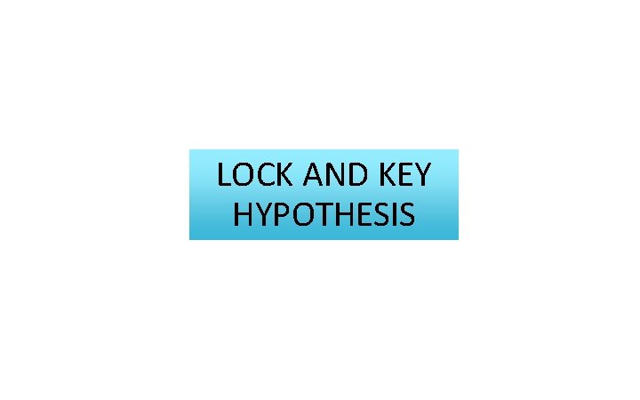 LOCK AND KEY HYPOTHESIS 