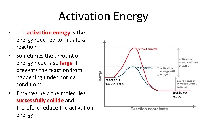 Activation Energy • The activation energy is the energy required to initiate a reaction