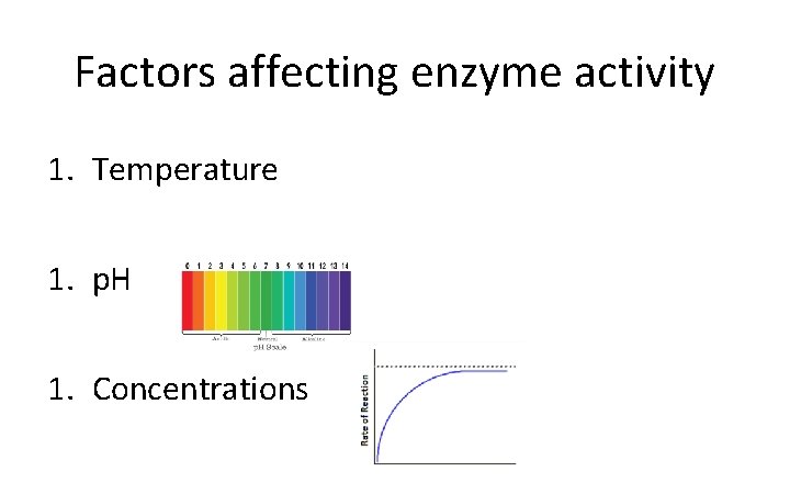 Factors affecting enzyme activity 1. Temperature 1. p. H 1. Concentrations 