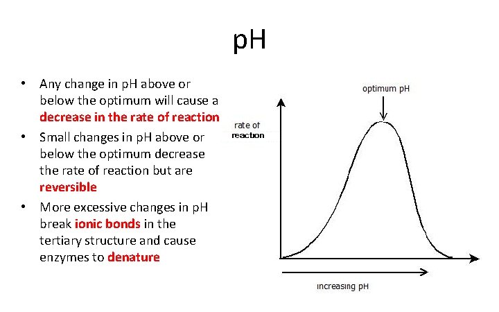 p. H • Any change in p. H above or below the optimum will