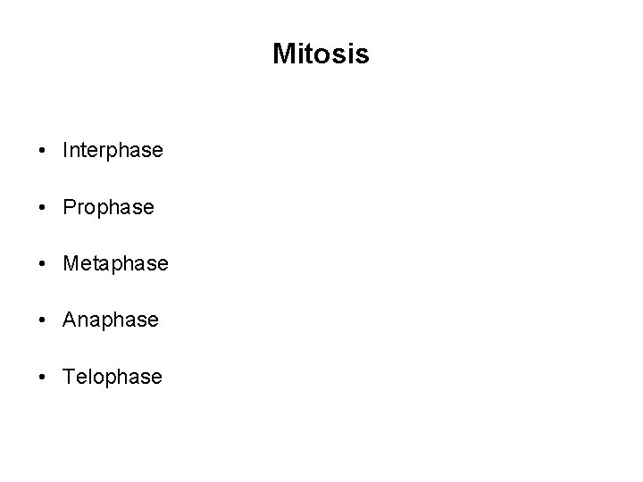 Mitosis • Interphase • Prophase • Metaphase • Anaphase • Telophase 