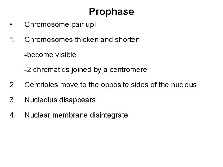 Prophase • Chromosome pair up! 1. Chromosomes thicken and shorten -become visible -2 chromatids