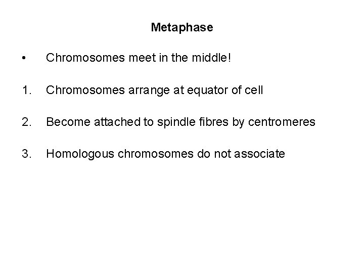 Metaphase • Chromosomes meet in the middle! 1. Chromosomes arrange at equator of cell