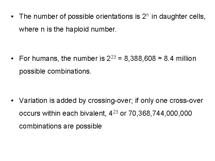  • The number of possible orientations is 2 n in daughter cells, where