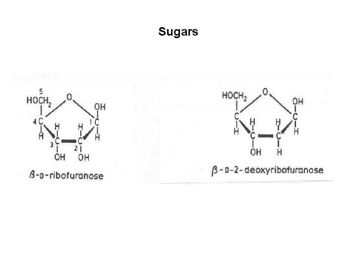 Sugars 