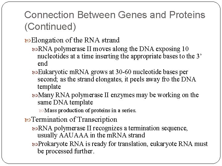 Connection Between Genes and Proteins (Continued) Elongation of the RNA strand RNA polymerase II