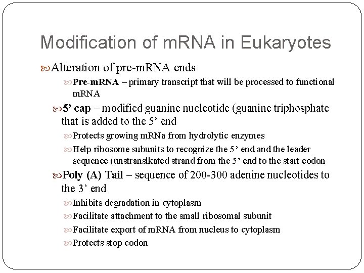 Modification of m. RNA in Eukaryotes Alteration of pre-m. RNA ends Pre-m. RNA –