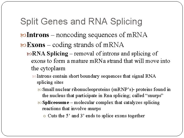 Split Genes and RNA Splicing Introns – noncoding sequences of m. RNA Exons –