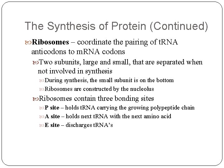 The Synthesis of Protein (Continued) Ribosomes – coordinate the pairing of t. RNA anticodons