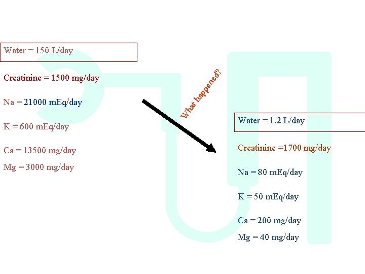 d? Water = 150 L/day K = 600 m. Eq/day Ca = 13500 mg/day