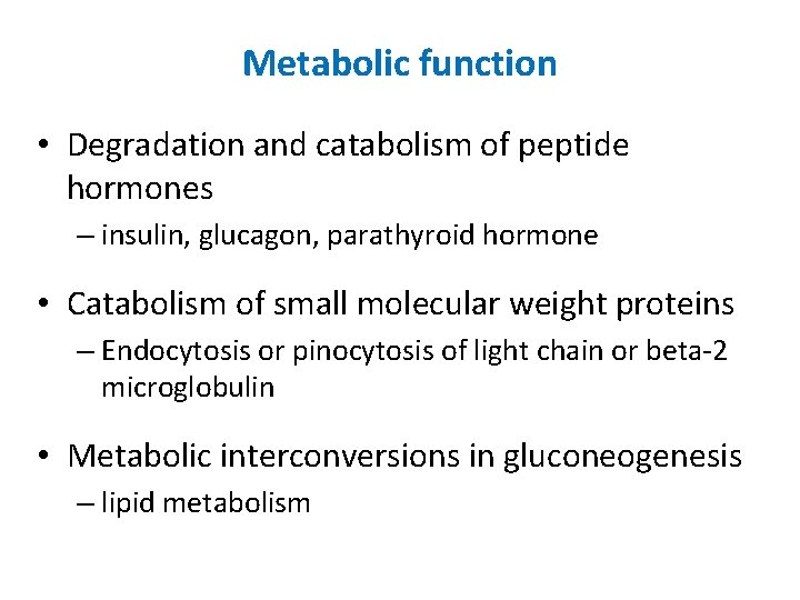 Metabolic function • Degradation and catabolism of peptide hormones – insulin, glucagon, parathyroid hormone