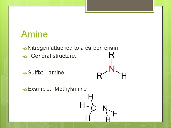 Amine Nitrogen attached to a carbon chain General structure: Suffix: -amine Example: Methylamine 