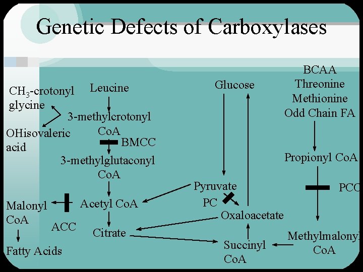 Genetic Defects of Carboxylases CH 3 -crotonyl Leucine glycine 3 -methylcrotonyl Co. A OHisovaleric