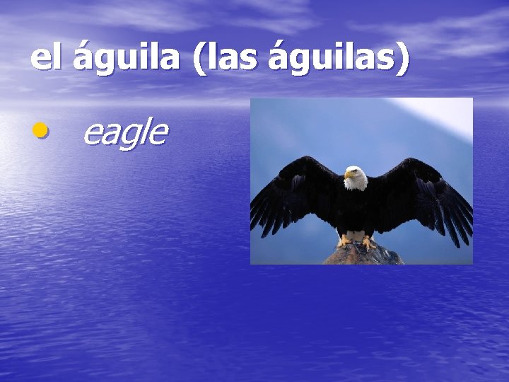 el águila (las águilas) • eagle 