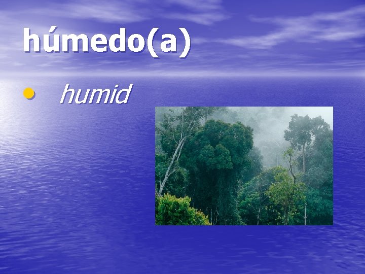 húmedo(a) • humid 