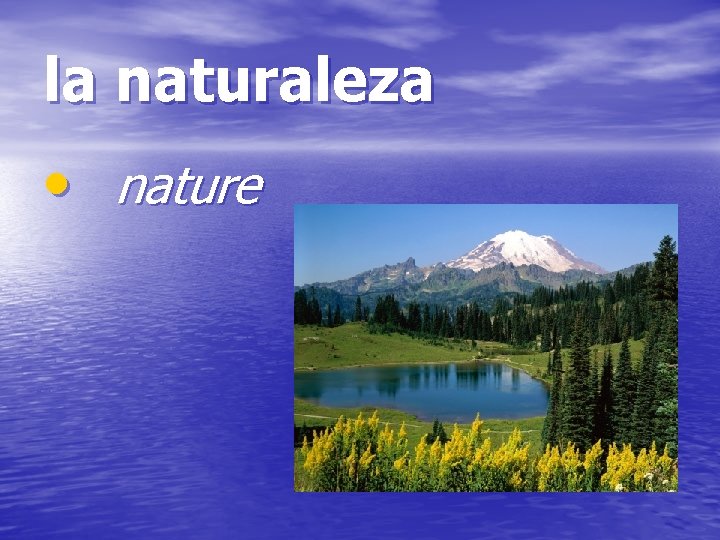 la naturaleza • nature 