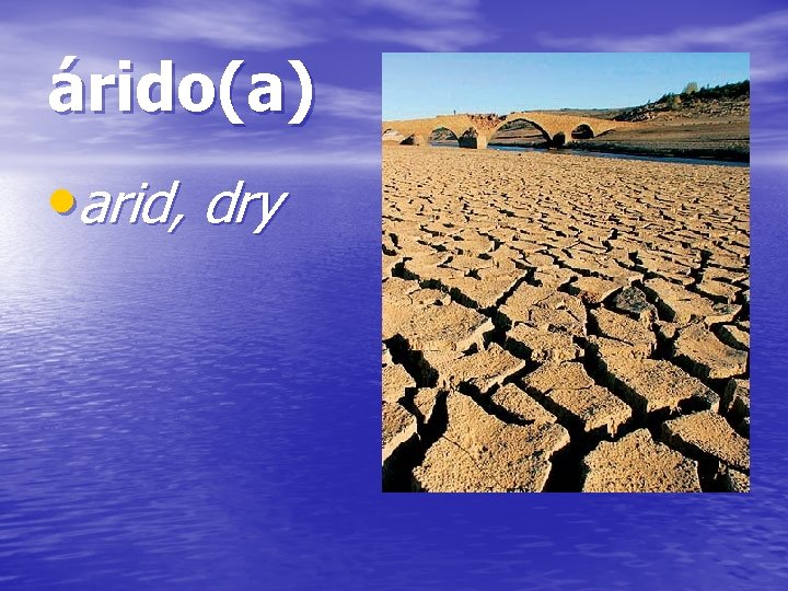 árido(a) • arid, dry 