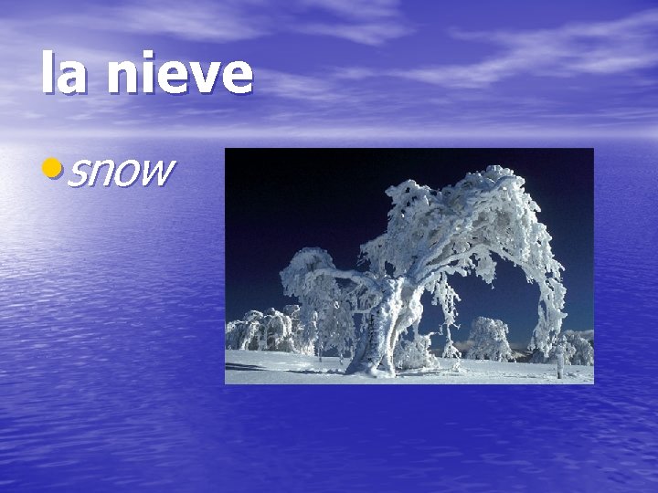 la nieve • snow 