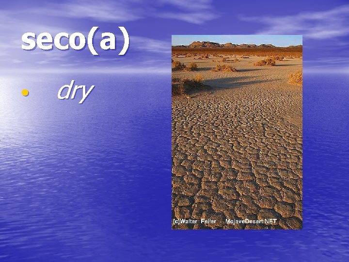 seco(a) • dry 