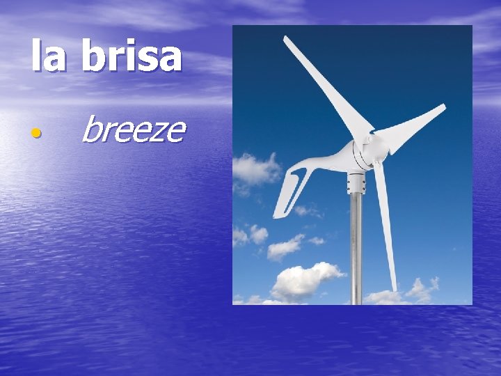 la brisa • breeze 