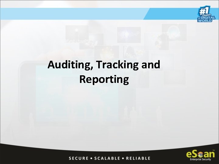 Auditing, Tracking and Reporting 