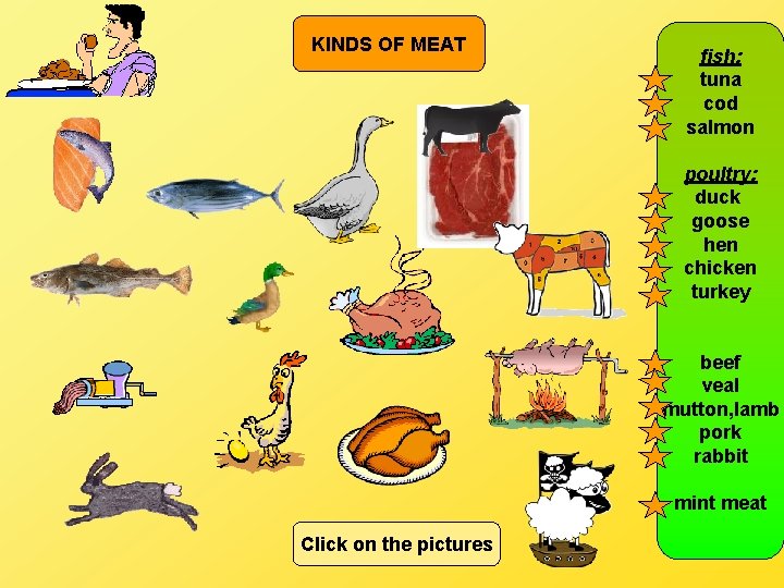 KINDS OF MEAT fish: tuna cod salmon poultry: duck goose hen chicken turkey beef