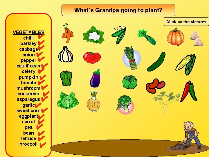 What´s Grandpa going to plant? Click on the pictures VEGETABLES chilli parsley cabbage onion