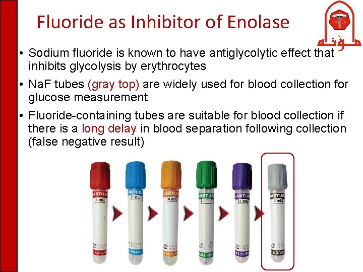 Glycolysis II Dr Nesrin Mwafi Biochemistry Molecular Biology