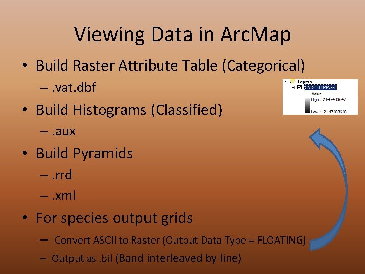Viewing Data in Arc. Map • Build Raster Attribute Table (Categorical) –. vat. dbf