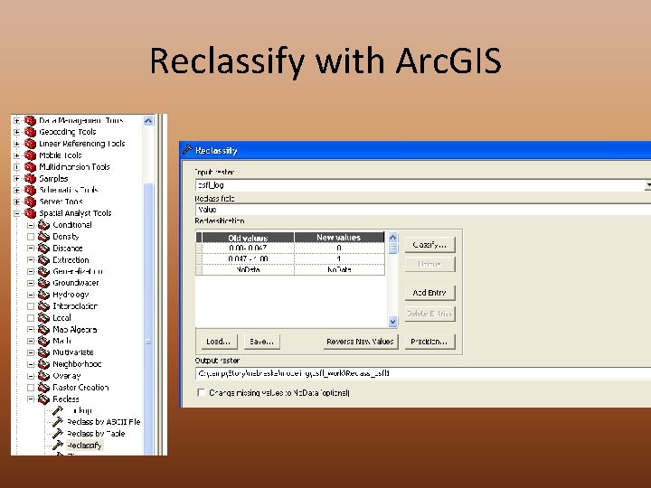 Reclassify with Arc. GIS 