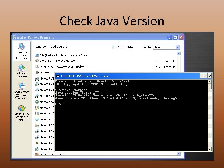 Check Java Version 