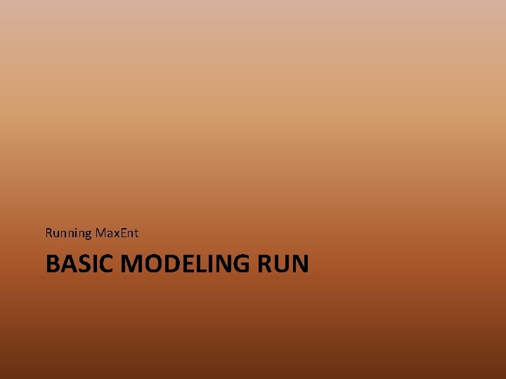 Running Max. Ent BASIC MODELING RUN 