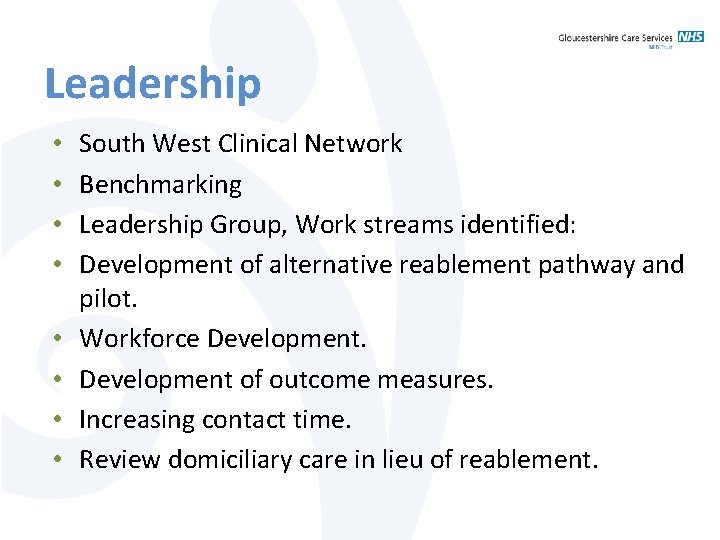 Leadership • • South West Clinical Network Benchmarking Leadership Group, Work streams identified: Development