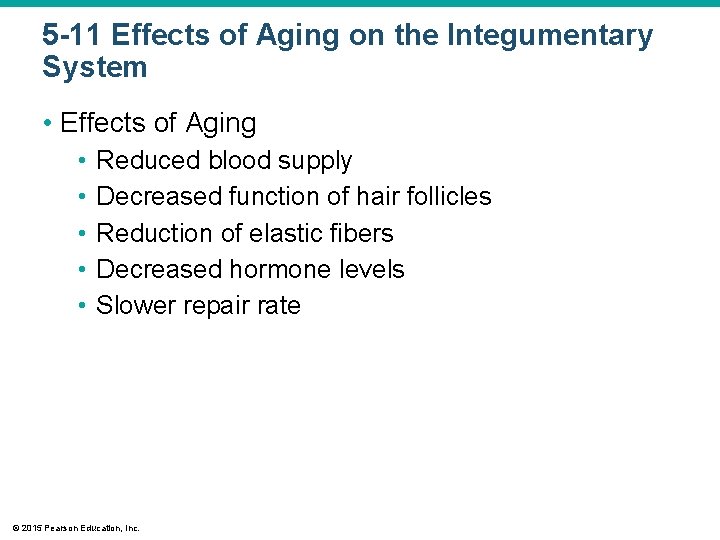 5 -11 Effects of Aging on the Integumentary System • Effects of Aging • 5 -11 Effects of Aging on the Integumentary System • Effects of Aging •