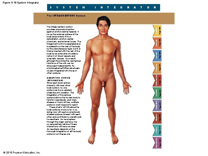 Figure 5 -18 System Integrator. S Y S T E M I N T Figure 5 -18 System Integrator. S Y S T E M I N T