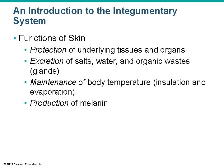 An Introduction to the Integumentary System • Functions of Skin • Protection of underlying An Introduction to the Integumentary System • Functions of Skin • Protection of underlying