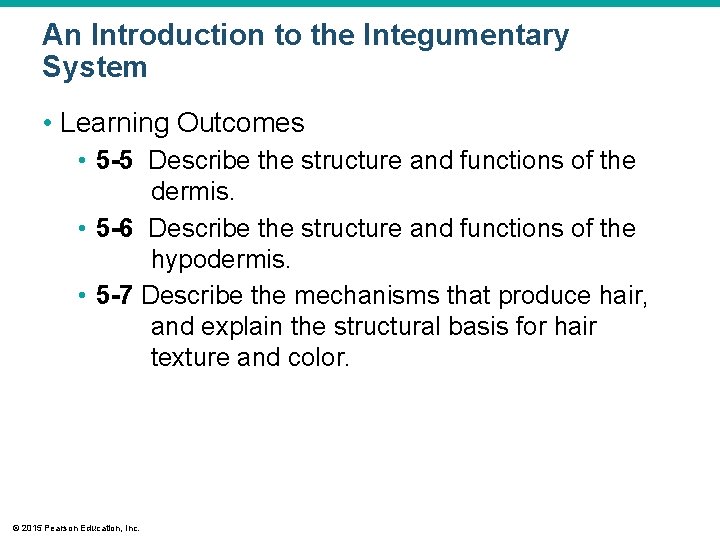 An Introduction to the Integumentary System • Learning Outcomes • 5 -5 Describe the An Introduction to the Integumentary System • Learning Outcomes • 5 -5 Describe the