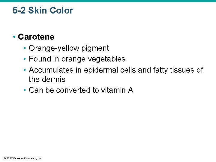 5 -2 Skin Color • Carotene • Orange-yellow pigment • Found in orange vegetables 5 -2 Skin Color • Carotene • Orange-yellow pigment • Found in orange vegetables