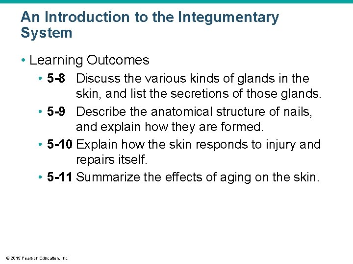 An Introduction to the Integumentary System • Learning Outcomes • 5 -8 Discuss the An Introduction to the Integumentary System • Learning Outcomes • 5 -8 Discuss the