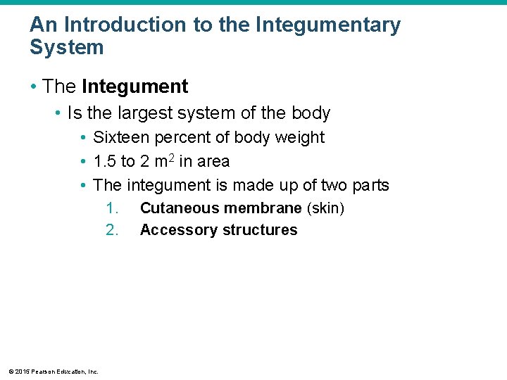 An Introduction to the Integumentary System • The Integument • Is the largest system An Introduction to the Integumentary System • The Integument • Is the largest system