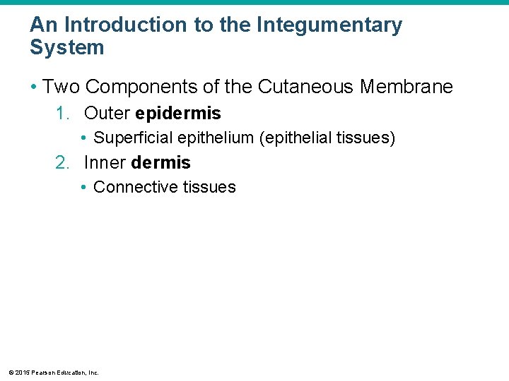 An Introduction to the Integumentary System • Two Components of the Cutaneous Membrane 1. An Introduction to the Integumentary System • Two Components of the Cutaneous Membrane 1.