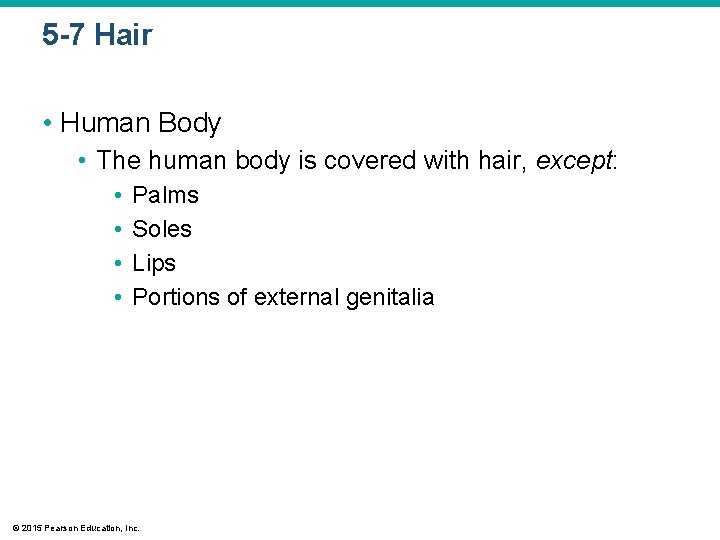 5 -7 Hair • Human Body • The human body is covered with hair, 5 -7 Hair • Human Body • The human body is covered with hair,