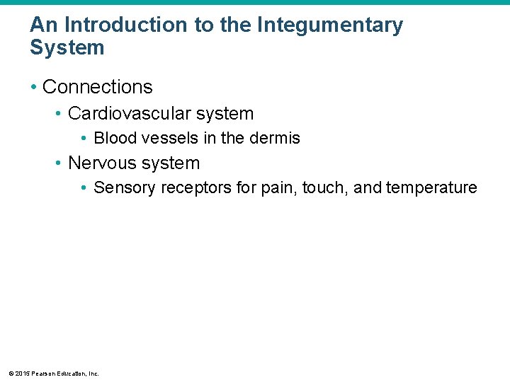 An Introduction to the Integumentary System • Connections • Cardiovascular system • Blood vessels An Introduction to the Integumentary System • Connections • Cardiovascular system • Blood vessels