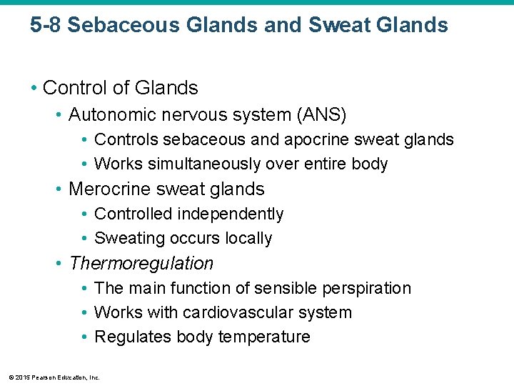 5 -8 Sebaceous Glands and Sweat Glands • Control of Glands • Autonomic nervous 5 -8 Sebaceous Glands and Sweat Glands • Control of Glands • Autonomic nervous