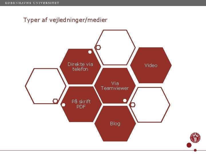 Typer af vejledninger/medier Direkte via telefon Video Via Teamviewer På skrift PDF Blog 